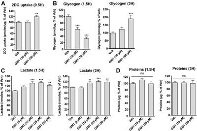 Ganglioside GM1 Targets Astrocytes to Stimulate Cerebral Energy Metabolism